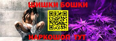скорость Новодвинск