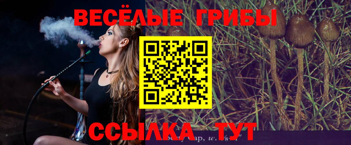 Семёнов  Галлюциногенные грибы Psilocybe  купить   Вход с VPN 