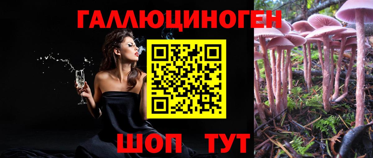 Псилоцибиновые грибы ЛСД Семёнов