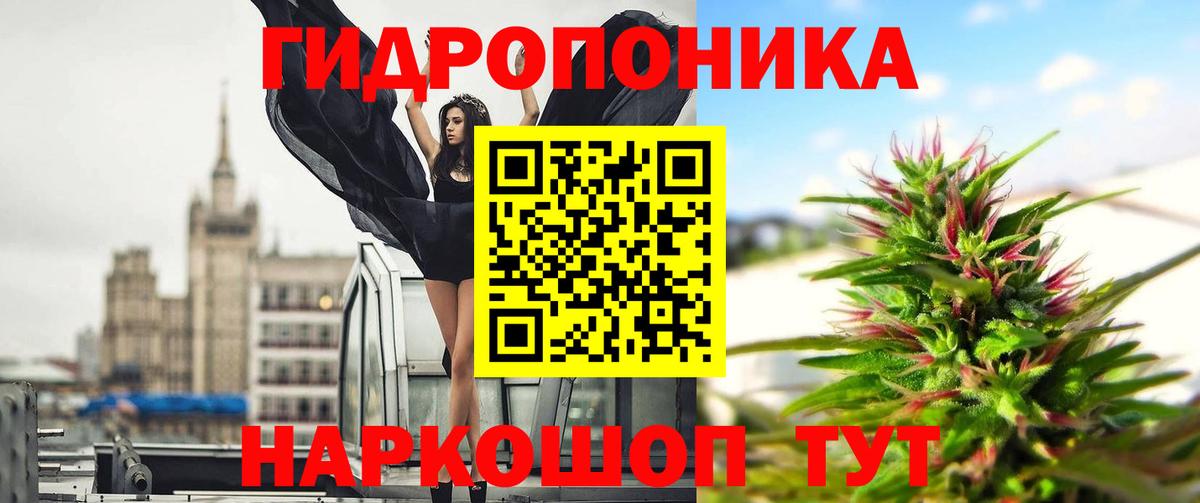 Бошки марихуана Bruce Banner Семёнов